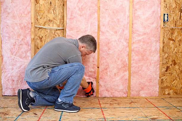Best Insulation Maintenance and Repair in Shreve, OH