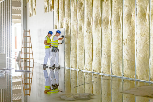 Best Types of Insulation in Shreve, OH